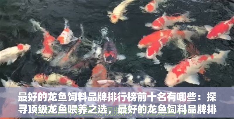 最好的龍魚飼料品牌排行榜前十名有哪些：探尋頂級龍魚喂養(yǎng)之選，最好的龍魚飼料品牌排行榜前十名