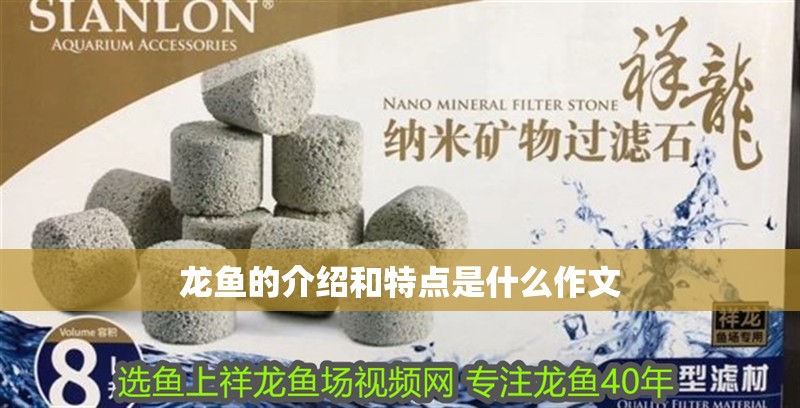 龍魚的介紹和特點是什么作文 龍魚的介紹和特點是什么作文 龍魚百科 第2張