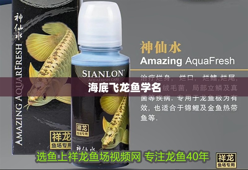 海底飛龍魚學名