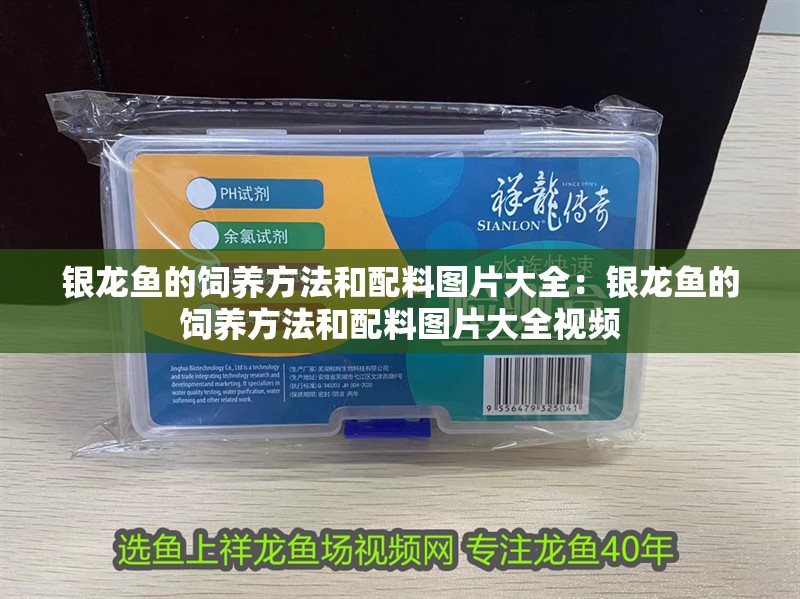 銀龍魚的飼養方法和配料圖片大全：銀龍魚的飼養方法和配料圖片大全視頻