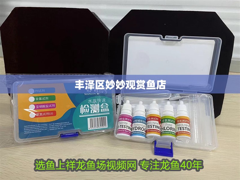 豐澤區(qū)妙妙觀賞魚(yú)店