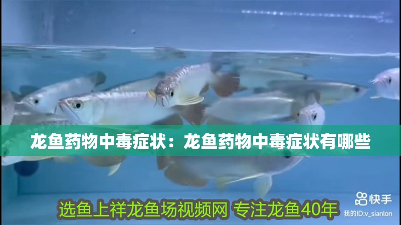 龍魚藥物中毒癥狀：龍魚藥物中毒癥狀有哪些