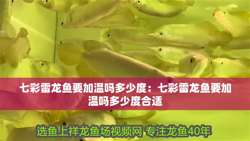 七彩雷龍魚要加溫嗎多少度：七彩雷龍魚要加溫嗎多少度合適