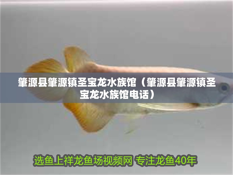 肇源縣肇源鎮(zhèn)圣寶龍水族館（肇源縣肇源鎮(zhèn)圣寶龍水族館電話）