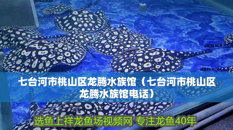 七臺(tái)河市桃山區(qū)龍騰水族館（七臺(tái)河市桃山區(qū)龍騰水族館電話）