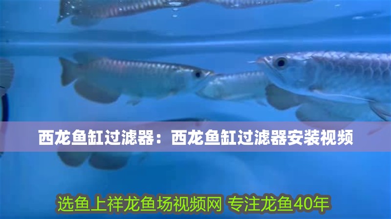 西龍魚缸過濾器：西龍魚缸過濾器安裝視頻