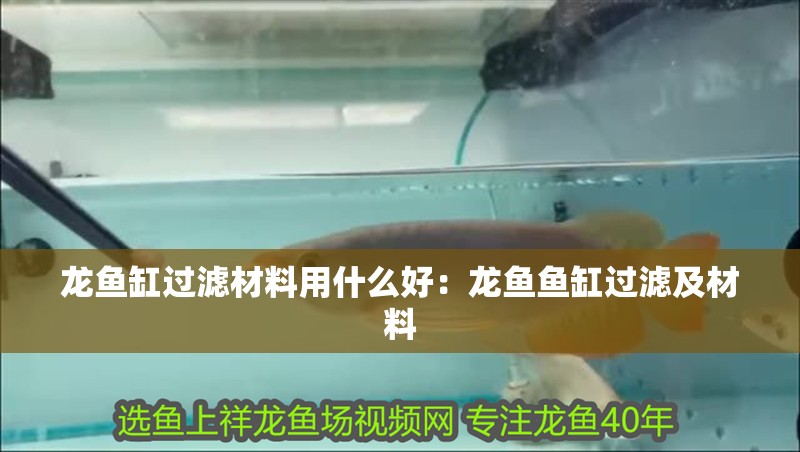 龍魚缸過濾材料用什么好：龍魚魚缸過濾及材料 龍魚缸過濾材料用什么好：龍魚魚缸過濾及材料 水族問答