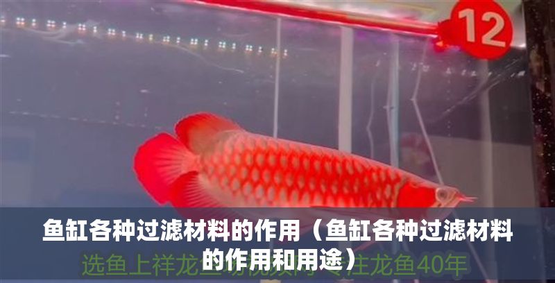 魚缸各種過濾材料的作用（魚缸各種過濾材料的作用和用途）