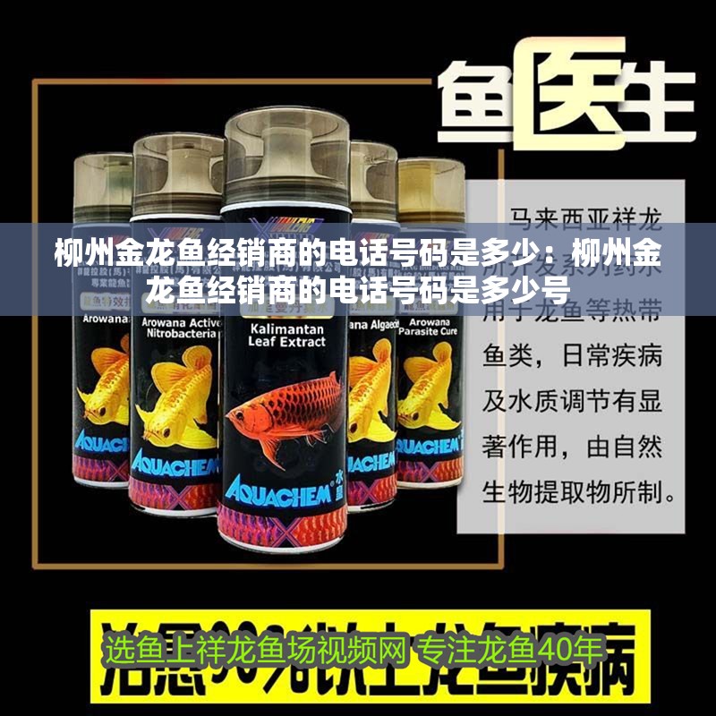 柳州金龍魚經銷商的電話號碼是多少：柳州金龍魚經銷商的電話號碼是多少號
