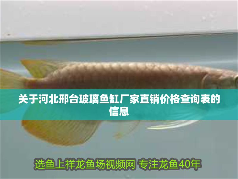 關于河北邢臺玻璃魚缸廠家直銷價格查詢表的信息 關于河北邢臺玻璃魚缸廠家直銷價格查詢表的信息 魚缸百科 第1張