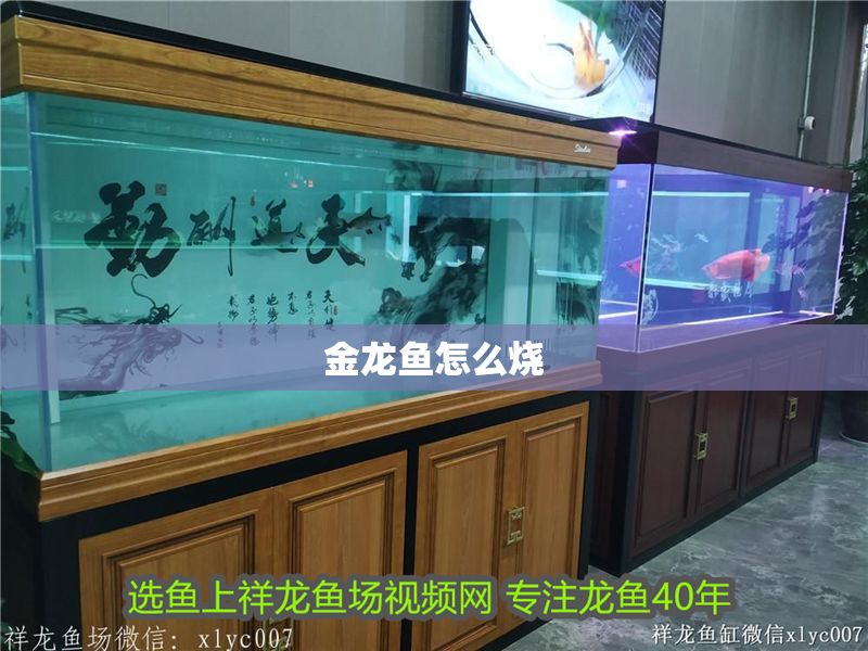 金龍魚怎么燒 金龍魚怎么燒 龍魚百科 第2張