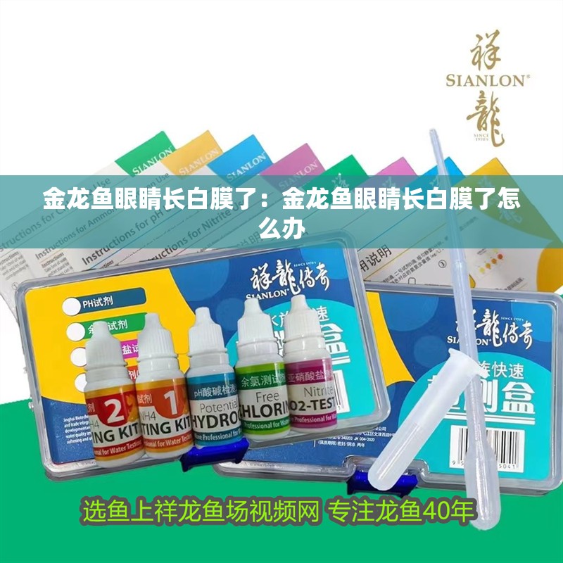 金龍魚眼睛長白膜了：金龍魚眼睛長白膜了怎么辦 金龍魚眼睛長白膜了：金龍魚眼睛長白膜了怎么辦 水族問答