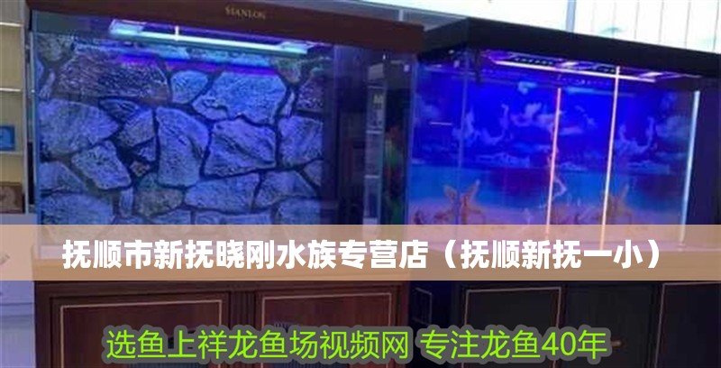 撫順市新撫曉剛水族專營店（撫順新撫一小）