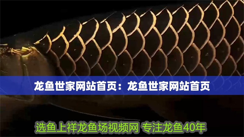 龍魚世家網站首頁：龍魚世家網站首頁