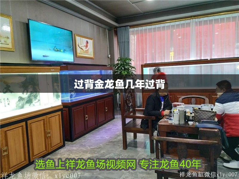 過背金龍魚幾年過背