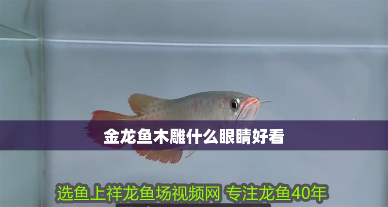 金龍魚木雕什么眼睛好看