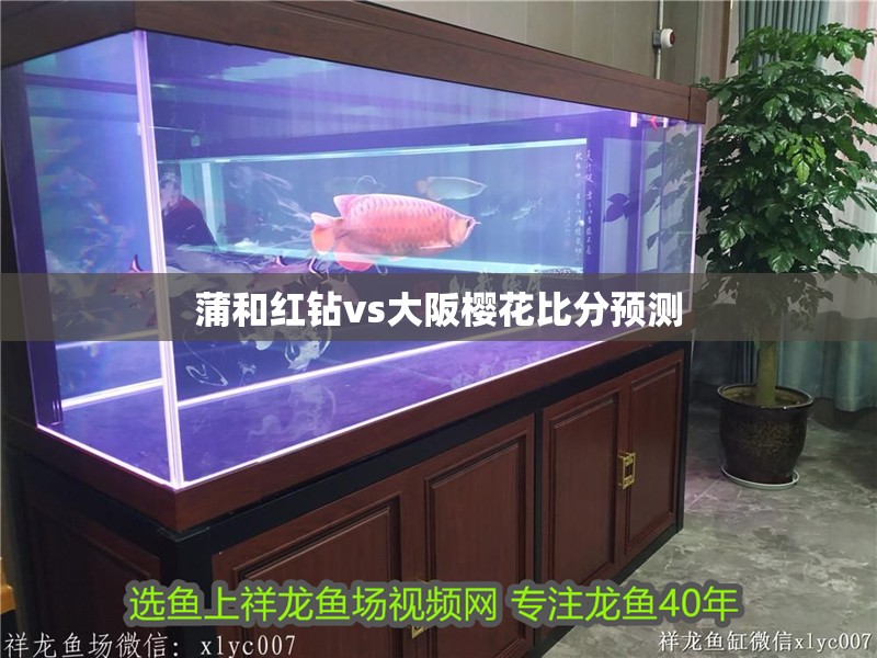 蒲和紅鉆vs大阪櫻花比分預(yù)測