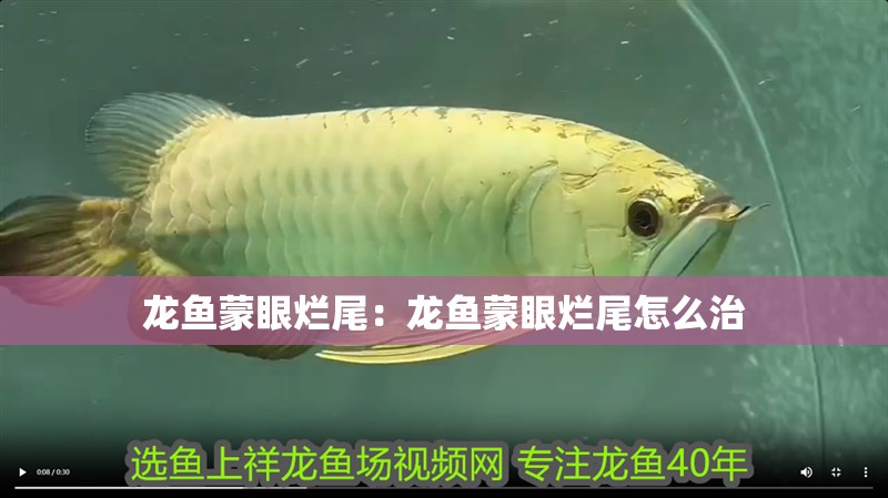 龍魚蒙眼爛尾：龍魚蒙眼爛尾怎么治
