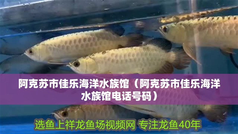 阿克蘇市佳樂海洋水族館（阿克蘇市佳樂海洋水族館電話號碼）