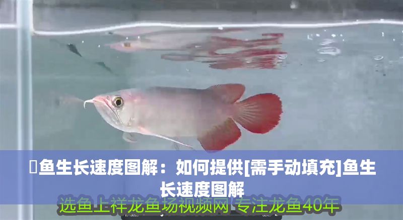 魟魚生長速度圖解：如何提供[需手動填充]魚生長速度圖解
