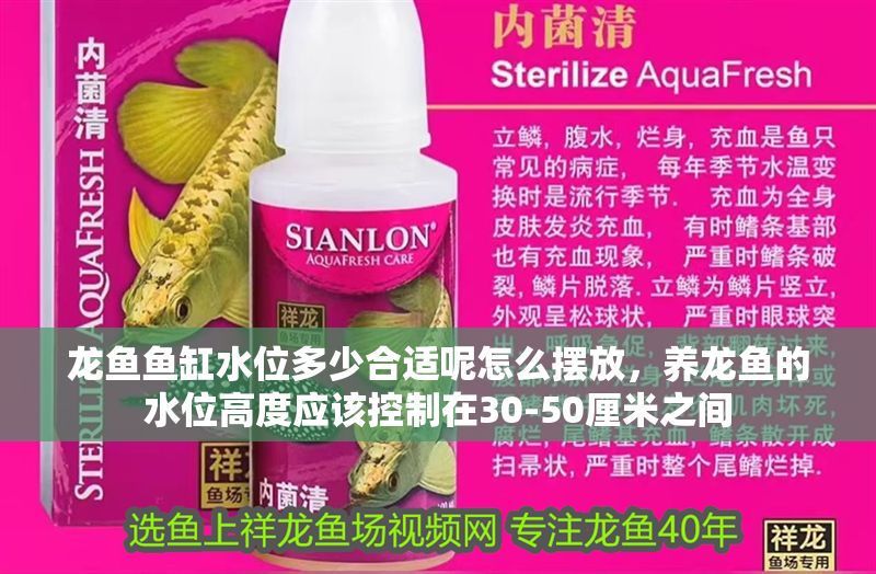 龍魚魚缸水位多少合適呢怎么擺放，養龍魚的水位高度應該控制在30-50厘米之間