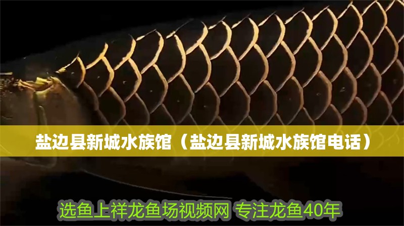 鹽邊縣新城水族館（鹽邊縣新城水族館電話）