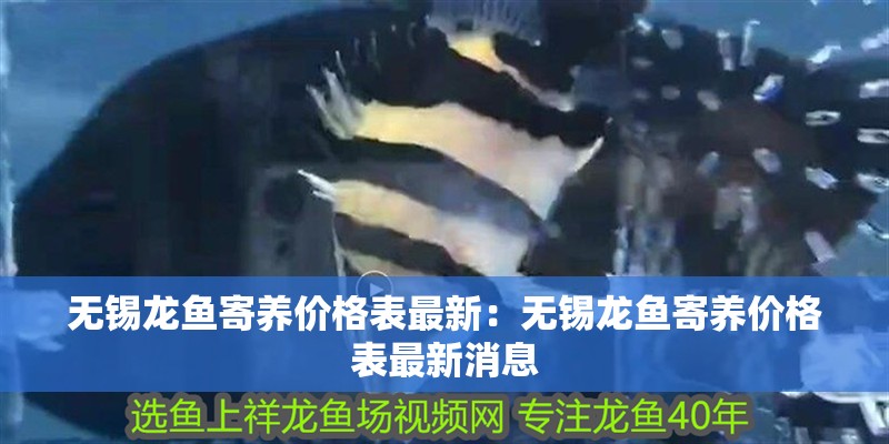 無錫龍魚寄養價格表最新：無錫龍魚寄養價格表最新消息 無錫龍魚寄養價格表最新：無錫龍魚寄養價格表最新消息 水族問答