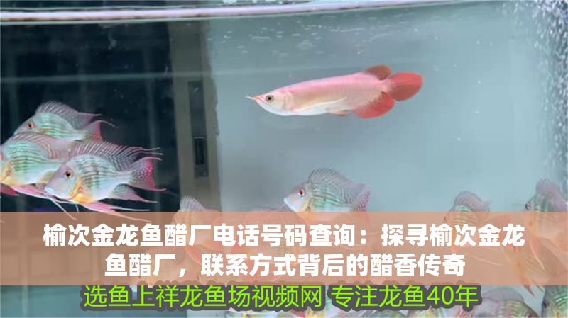 榆次金龍魚醋廠電話號碼查詢：探尋榆次金龍魚醋廠，聯系方式背后的醋香傳奇