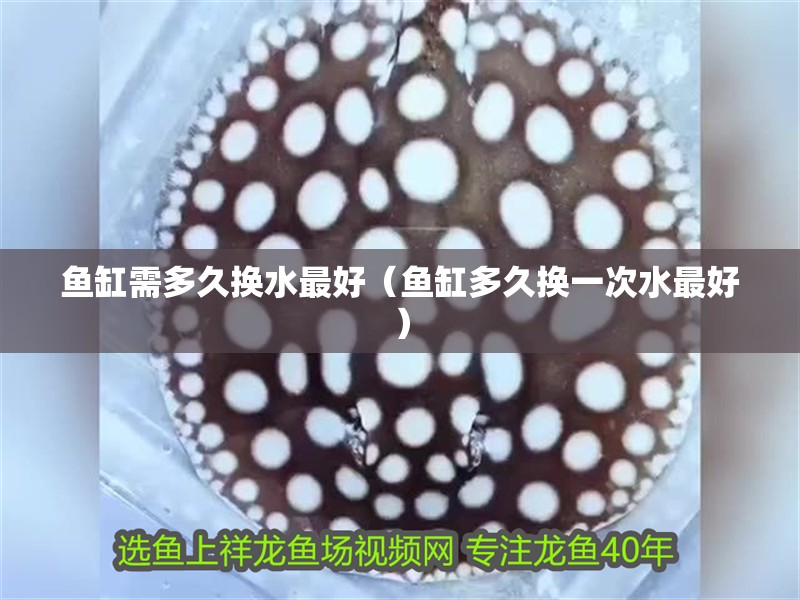 魚缸需多久換水最好（魚缸多久換一次水最好）