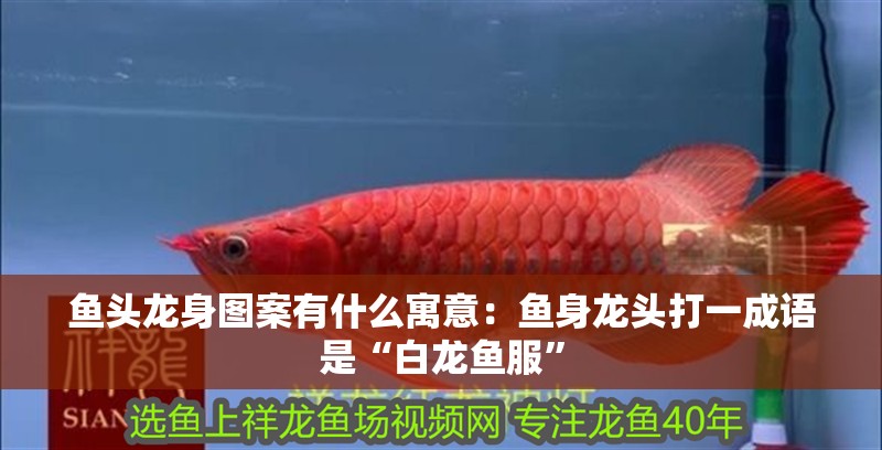 魚頭龍身圖案有什么寓意：魚身龍頭打一成語(yǔ)是“白龍魚服”