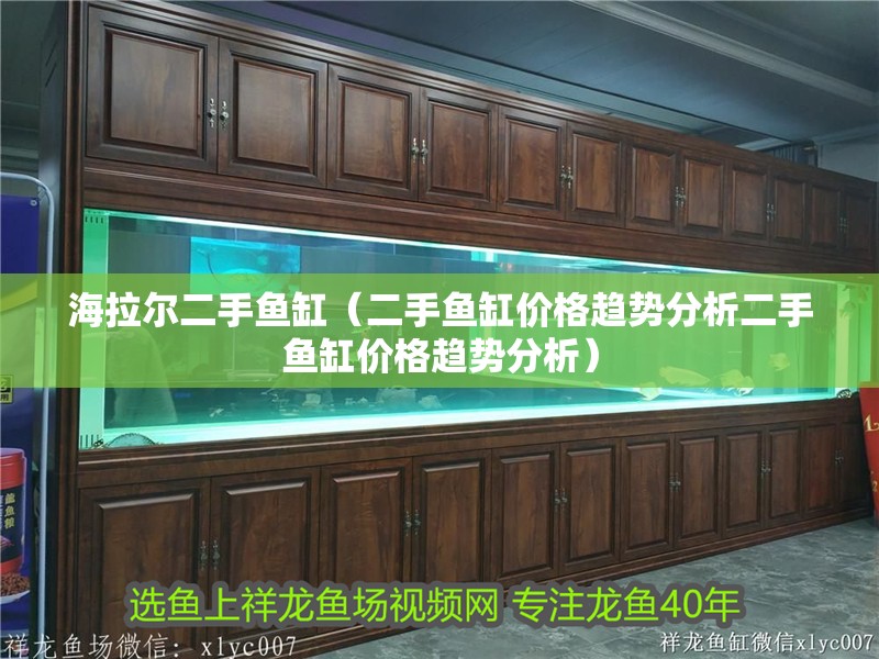 海拉爾二手魚缸（二手魚缸價格趨勢分析二手魚缸價格趨勢分析）