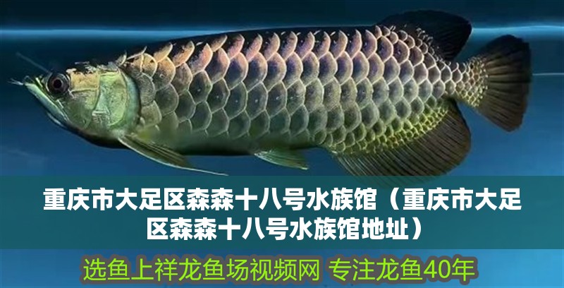 重慶市大足區(qū)森森十八號水族館（重慶市大足區(qū)森森十八號水族館地址）