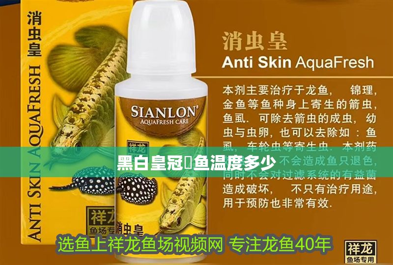 黑白皇冠魟魚溫度多少 黑白皇冠魟魚溫度多少 魟魚百科 第2張