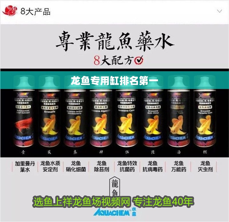 龍魚專用缸排名第一