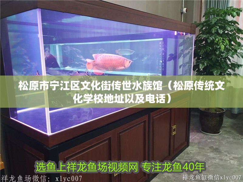 松原市寧江區文化街傳世水族館（松原傳統文化學校地址以及電話）
