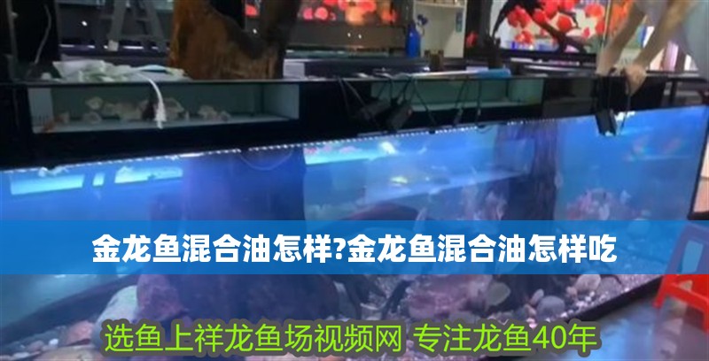金龍魚混合油怎樣?金龍魚混合油怎樣吃