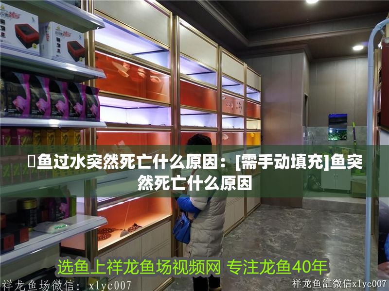 魟魚過水突然死亡什么原因：[需手動填充]魚突然死亡什么原因
