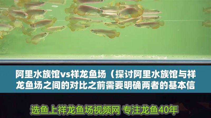 阿里水族館vs祥龍魚場（探討阿里水族館與祥龍魚場之間的對比之前需要明確兩者的基本信息）