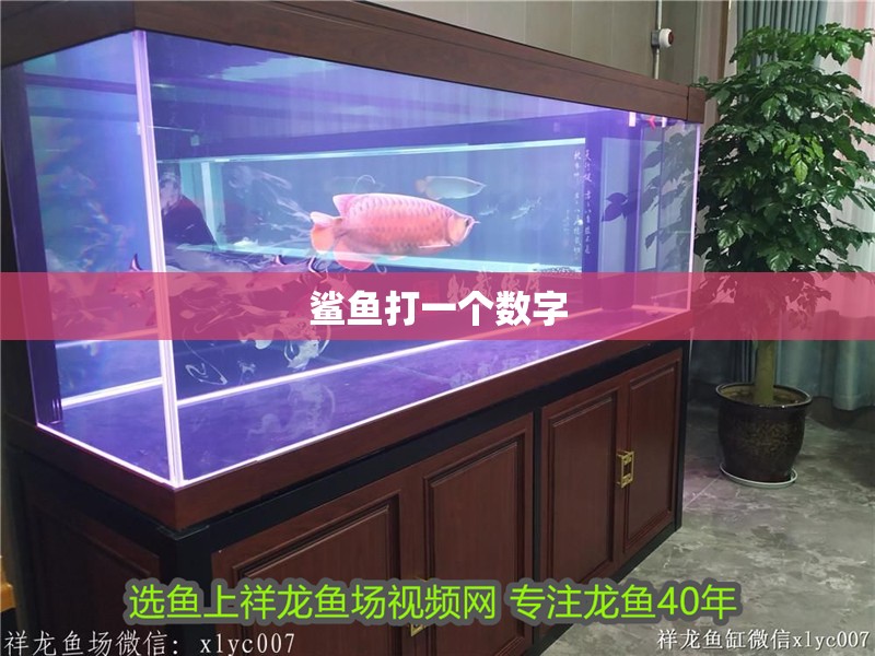 鯊魚打一個數字
