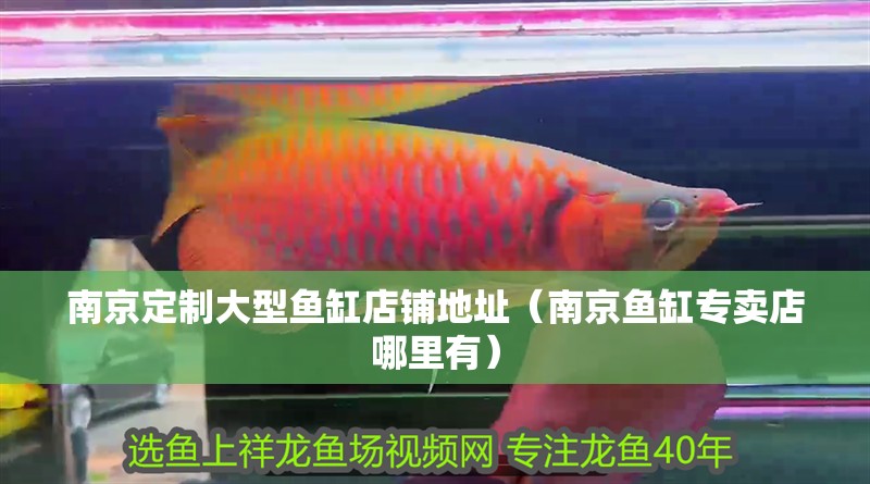 南京定制大型魚缸店鋪地址（南京魚缸專賣店哪里有）