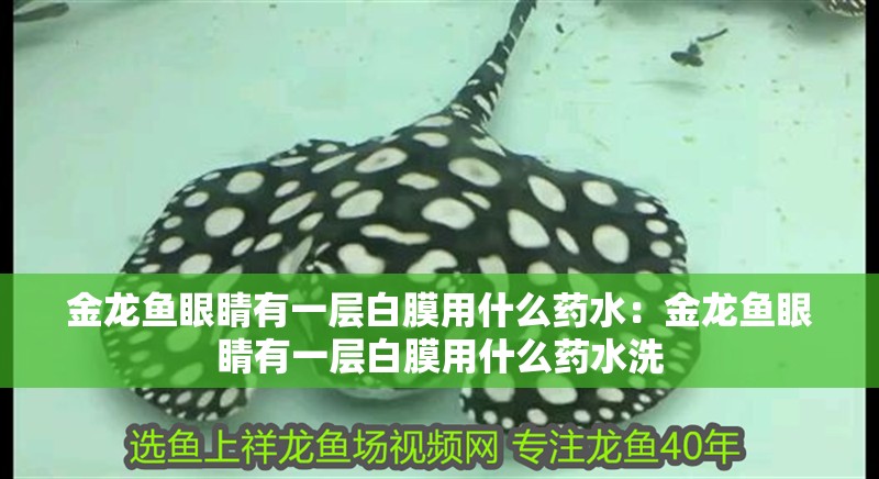 金龍魚眼睛有一層白膜用什么藥水：金龍魚眼睛有一層白膜用什么藥水洗