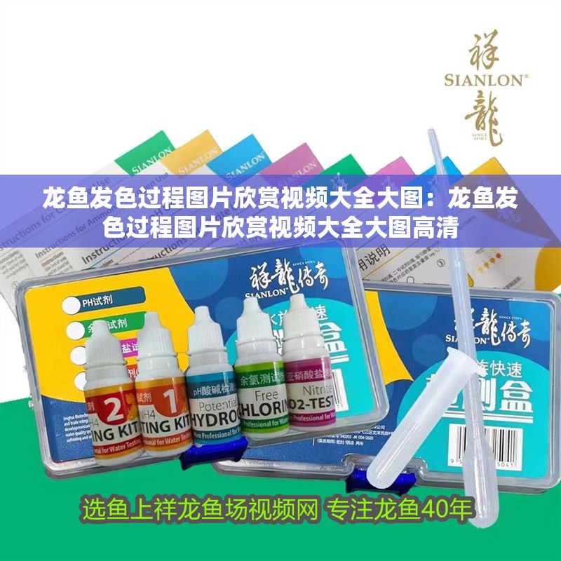 龍魚發色過程圖片欣賞視頻大全大圖：龍魚發色過程圖片欣賞視頻大全大圖高清