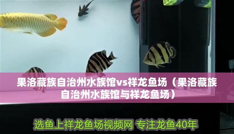 果洛藏族自治州水族館vs祥龍魚場（果洛藏族自治州水族館與祥龍魚場）