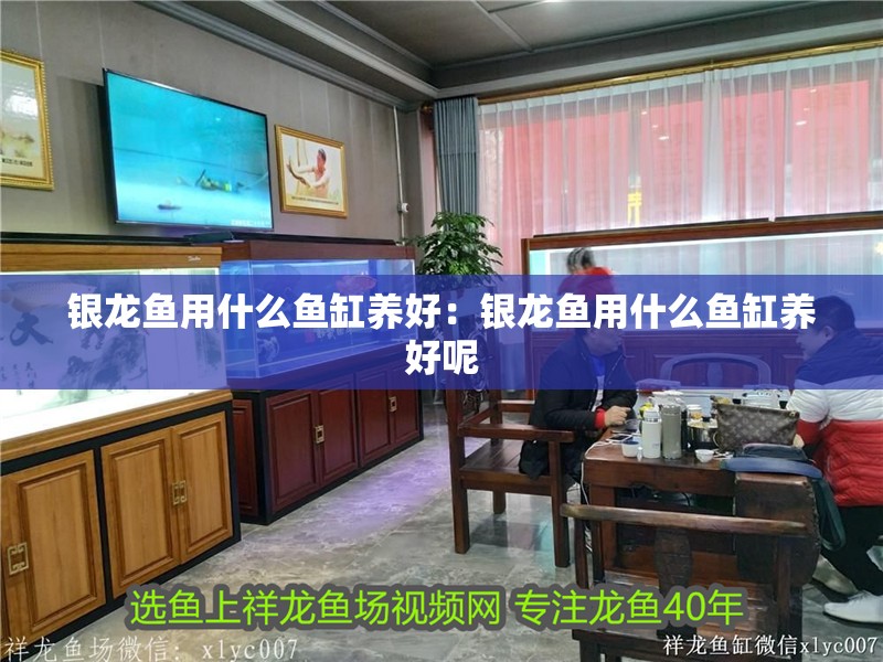 銀龍魚用什么魚缸養(yǎng)好：銀龍魚用什么魚缸養(yǎng)好呢