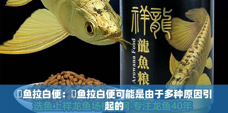 魟魚拉白便：魟魚拉白便可能是由于多種原因引起的 魟魚拉白便：魟魚拉白便可能是由于多種原因引起的 魟魚百科 第2張