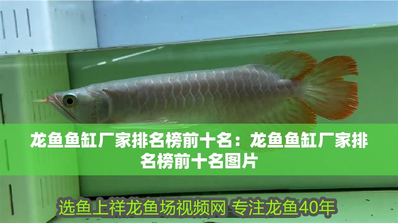 龍魚魚缸廠家排名榜前十名：龍魚魚缸廠家排名榜前十名圖片
