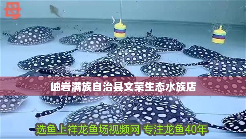 岫巖滿族自治縣文榮生態(tài)水族店 全國(guó)水族館企業(yè)名錄 第2張 岫巖滿族自治縣文榮生態(tài)水族店 岫巖滿族自治縣文榮生態(tài)水族店 全國(guó)水族館企業(yè)名錄 第2張