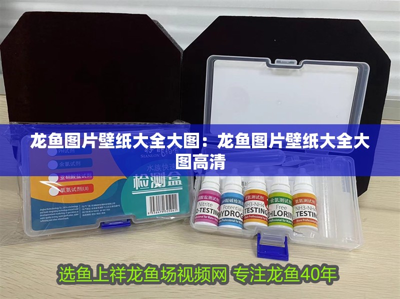 龍魚圖片壁紙大全大圖：龍魚圖片壁紙大全大圖高清 龍魚圖片壁紙大全大圖：龍魚圖片壁紙大全大圖高清 水族問答