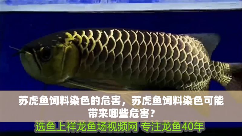 蘇虎魚飼料染色的危害，蘇虎魚飼料染色可能帶來哪些危害？