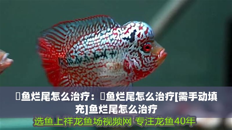 魟魚爛尾怎么治療：魟魚爛尾怎么治療[需手動填充]魚爛尾怎么治療